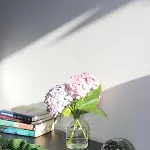 Casa vacanze Casinha Da Andorinha -