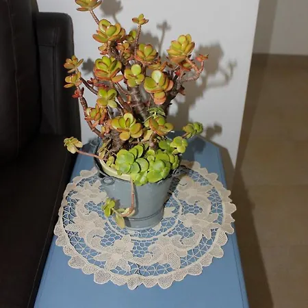 Casinha Da Andorinha - Feriehus Ericeira