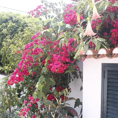 Feriehus Casinha Da Andorinha -